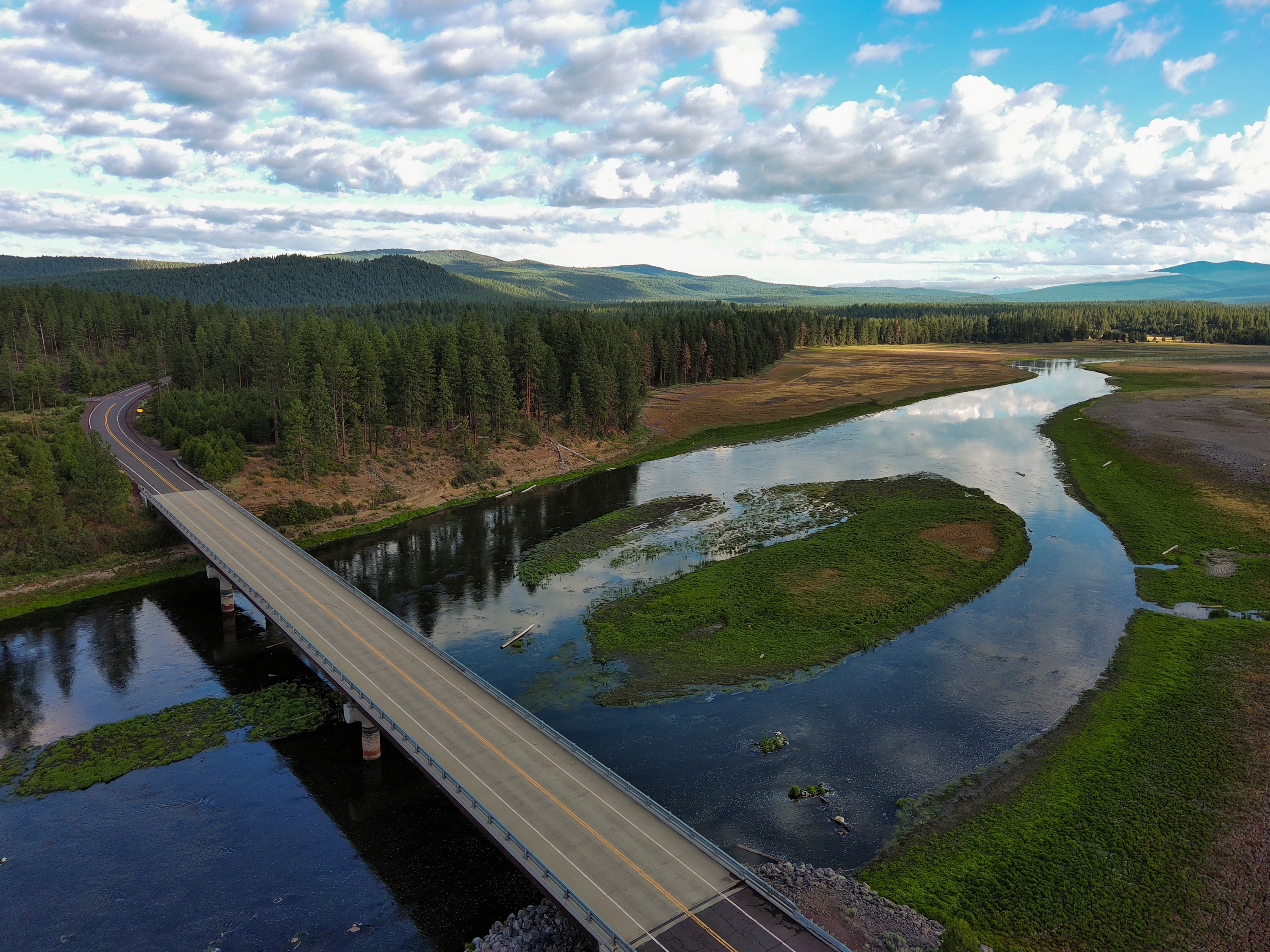 Pacific Northwest mountain forest landscape